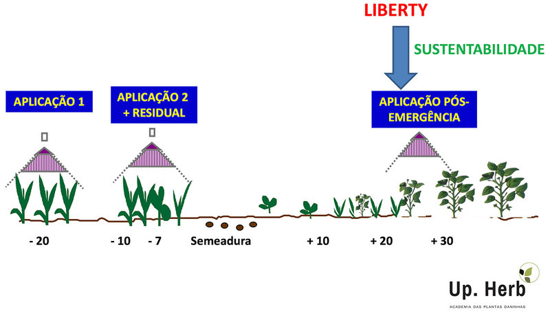 Herbicidas Pré Emergentes na Soja